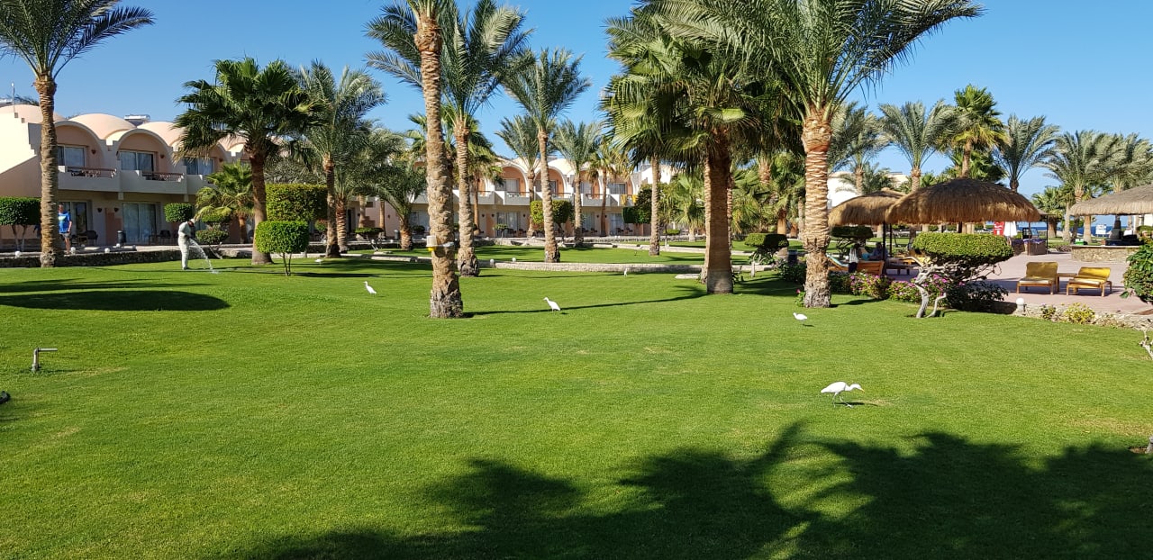 Gartenanlage Three Corners Sea Beach Resort