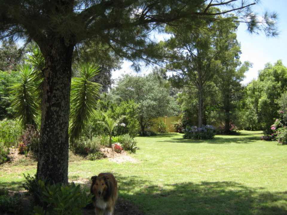 Front garden Guesthouse Soul Fusion