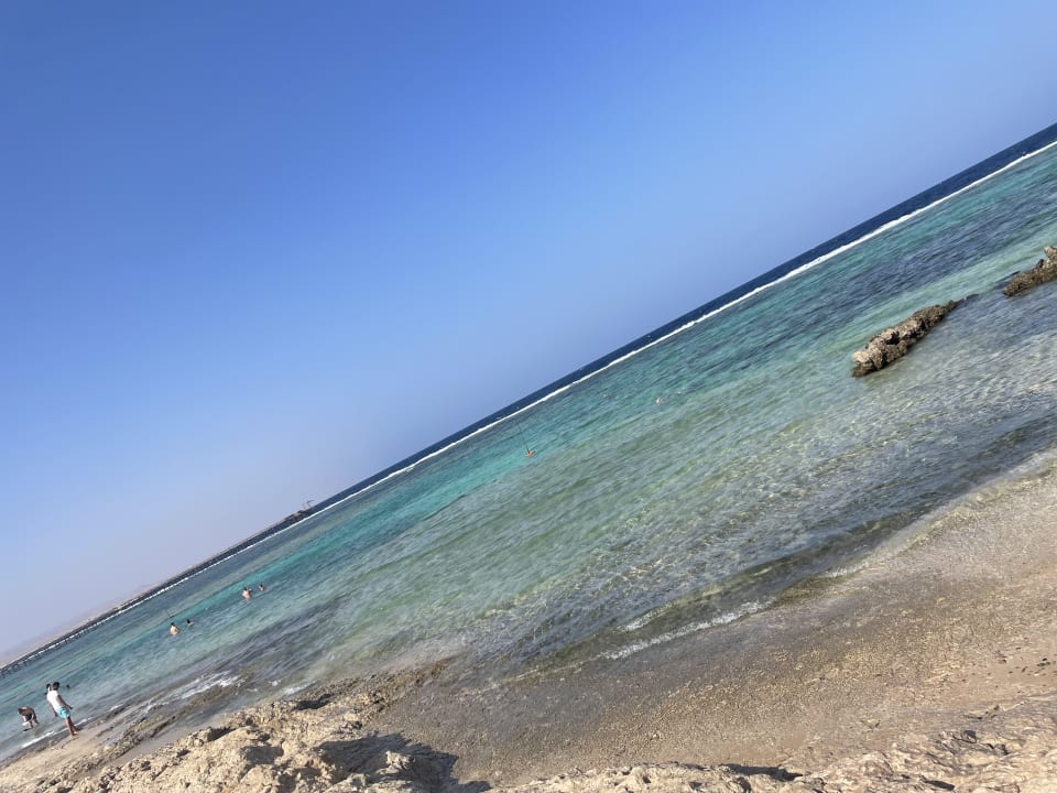 Strand Pickalbatros Sea World Resort - Marsa Alam