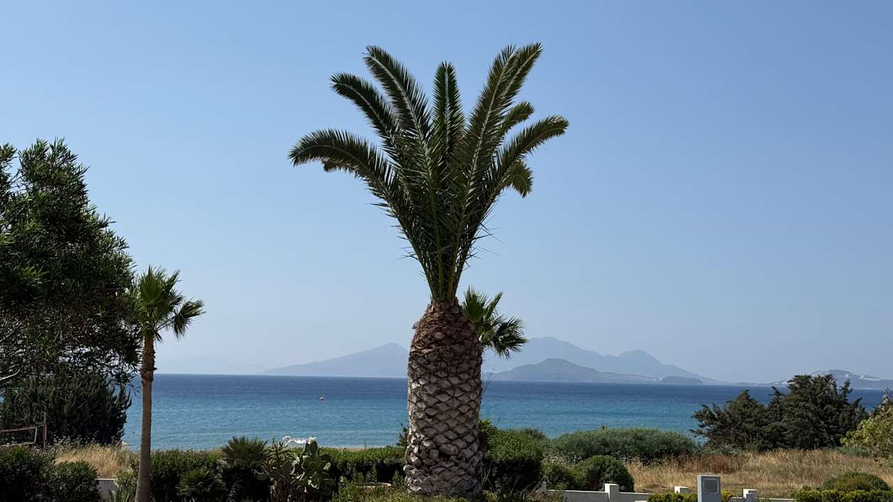 Gartenanlage Porto Bello Royal