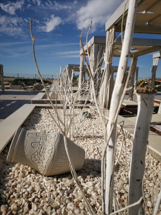 Sonstiges Jaz Aquaviva