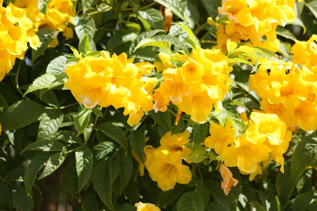 Красота! Regency Plaza Aqua Park & Spa