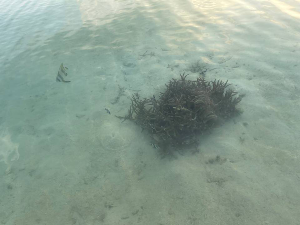 Sonstiges Adaaran Select Meedhupparu Island Resort - Premium All Inclusive