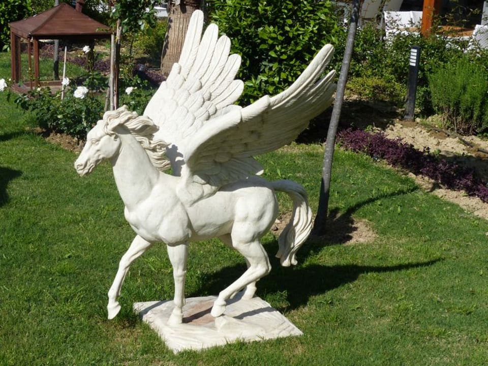 Gartenanlage Dream World Aqua Hotel