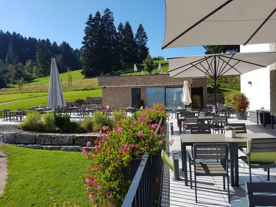 Gartenanlage Hotel Edita