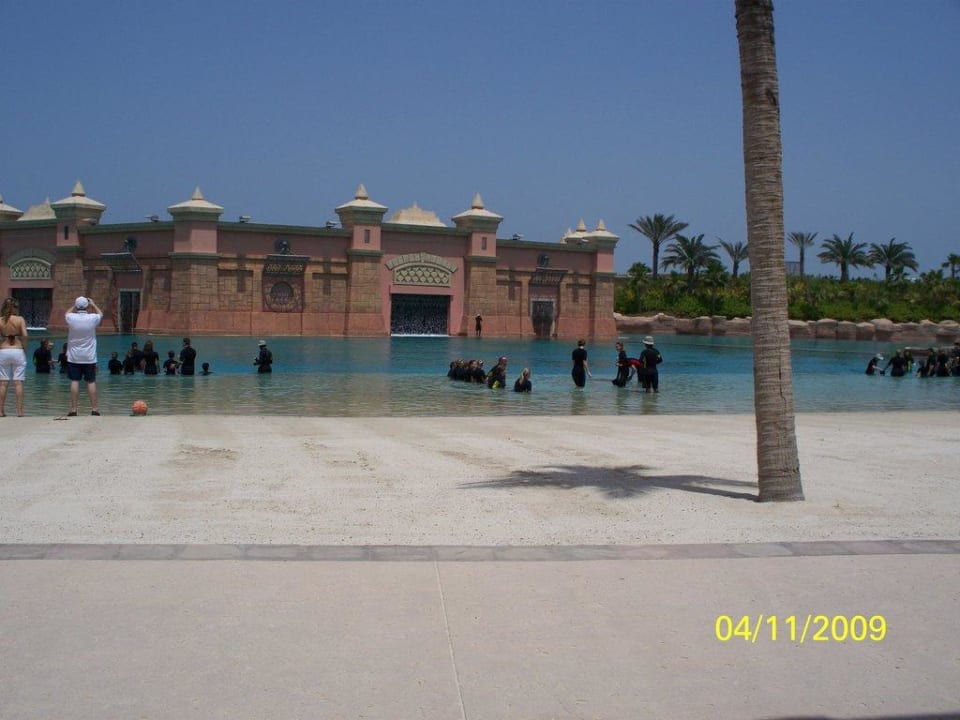 Delfinarium Atlantis, The Palm