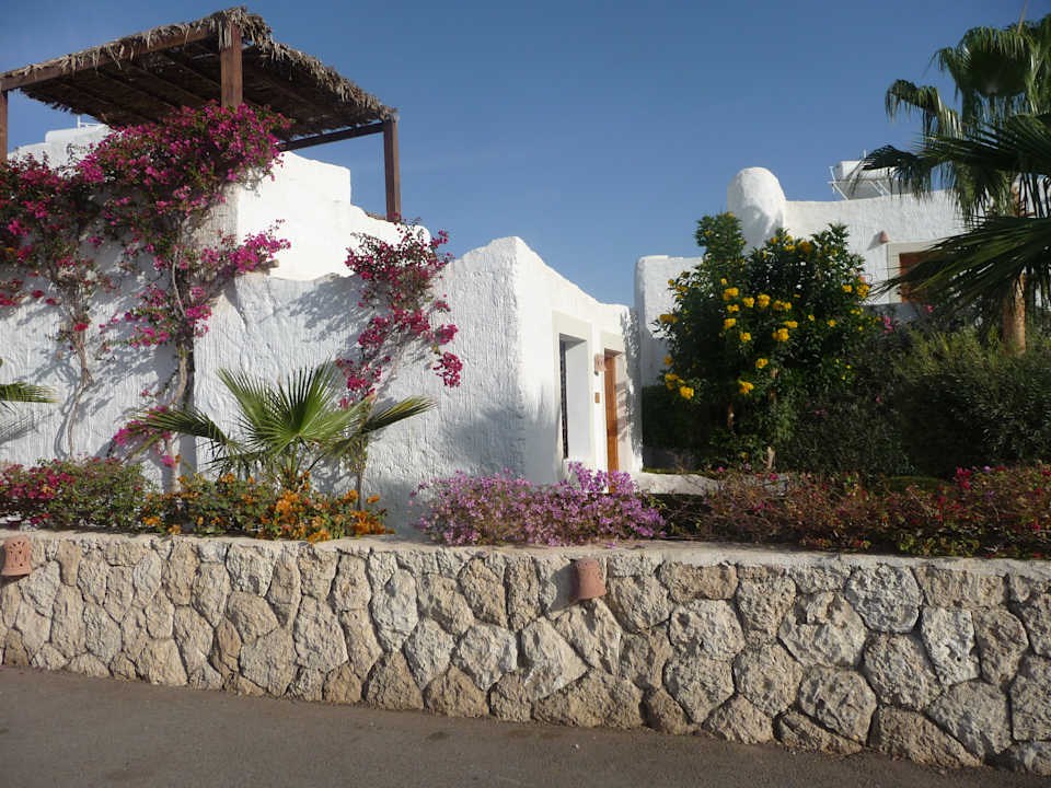 Gartenanlage Sharm Club Beach Resort