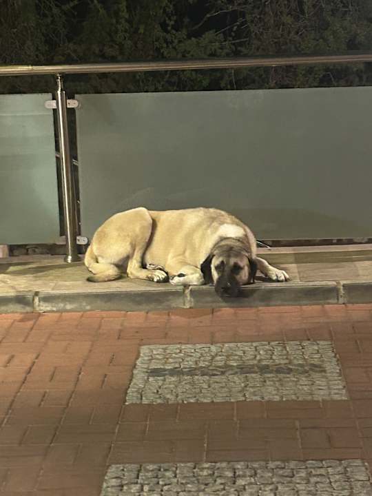 Außenansicht TUI BLUE Xanthe