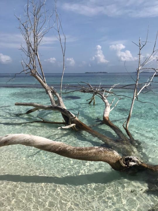 Ausblick Dhigali Maldives