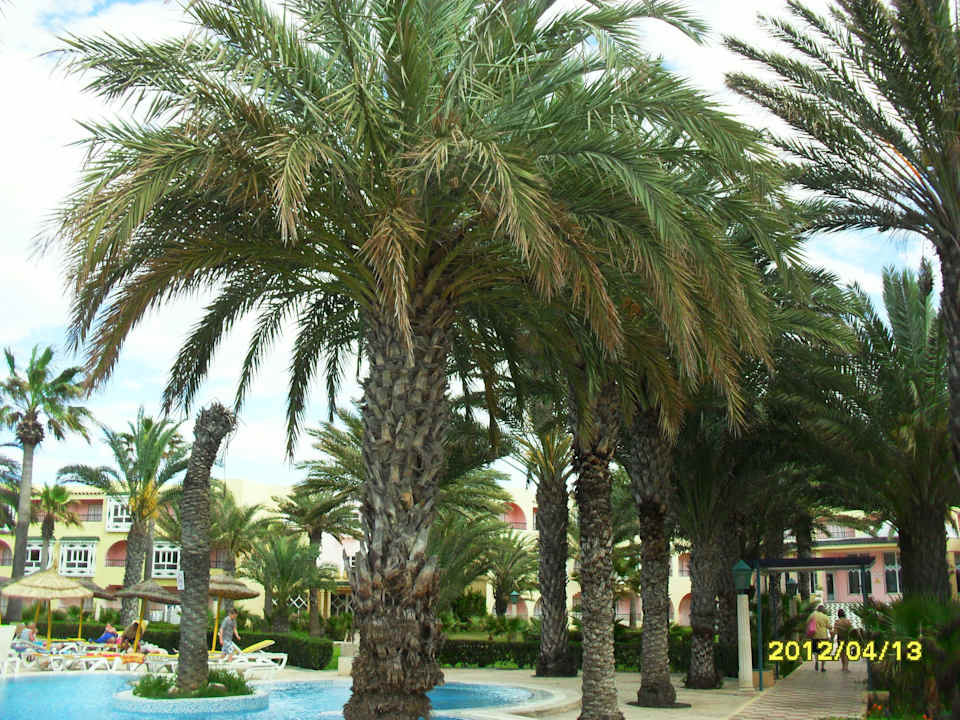 Basen Houda Golf & Beach Club