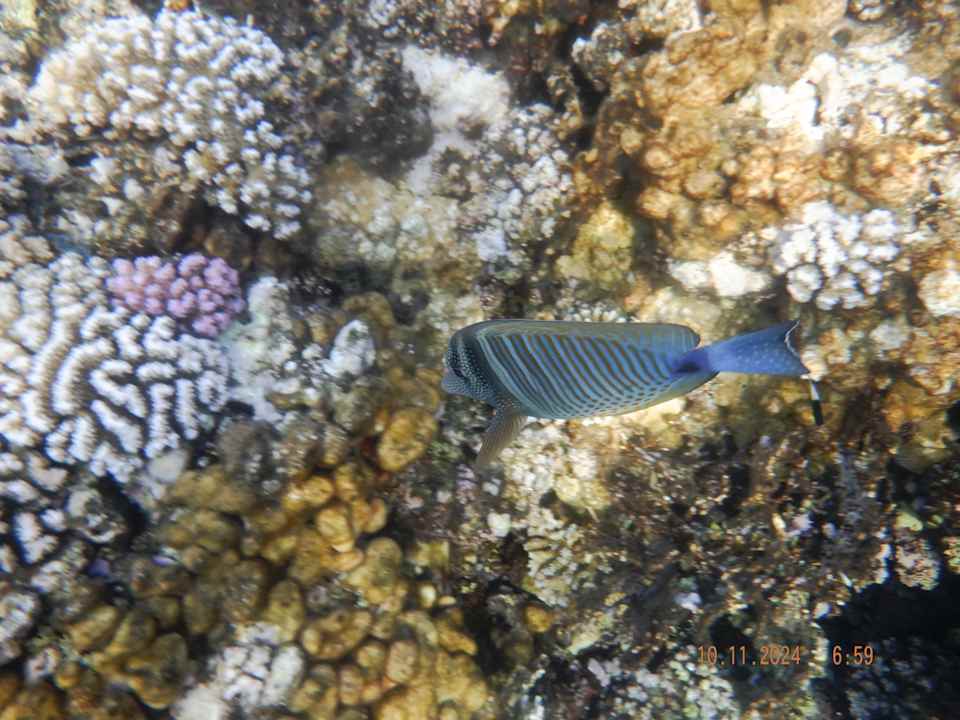 Strand Casa Mare Resort