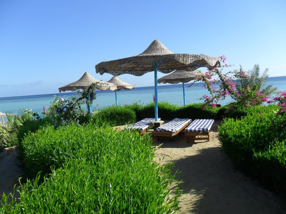 I lettini sul promontorio Blue Reef Red Sea Resort