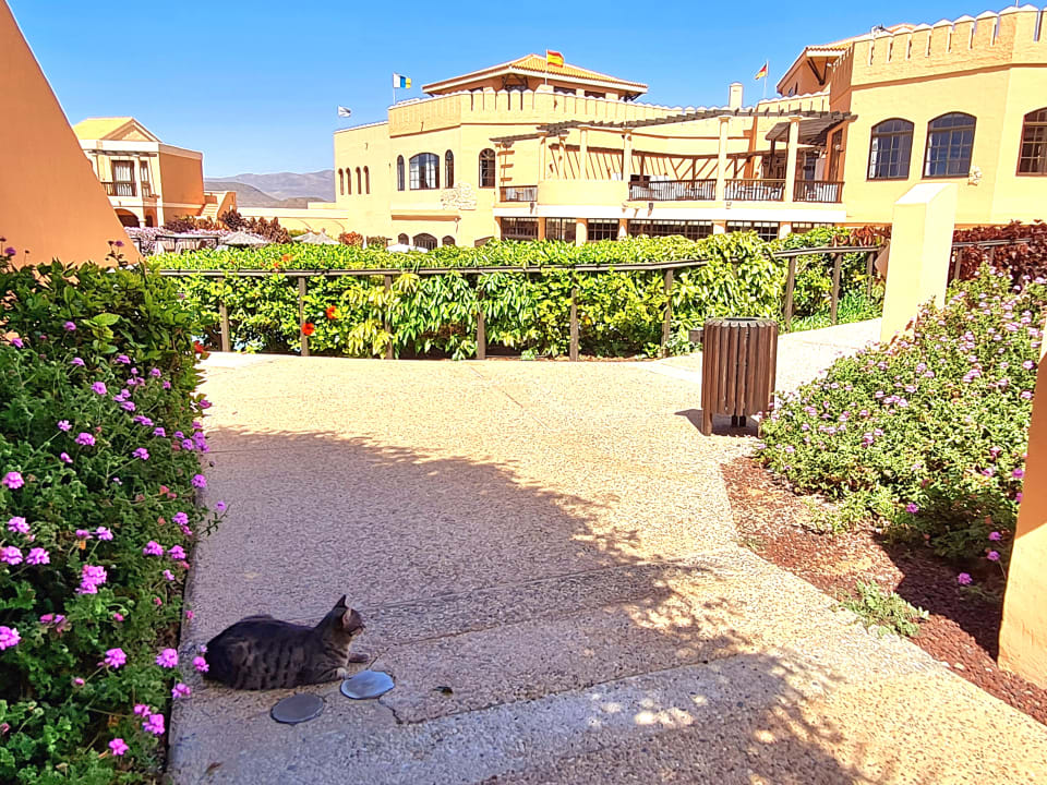 Gartenanlage Bakour Fuerteventura La Pared