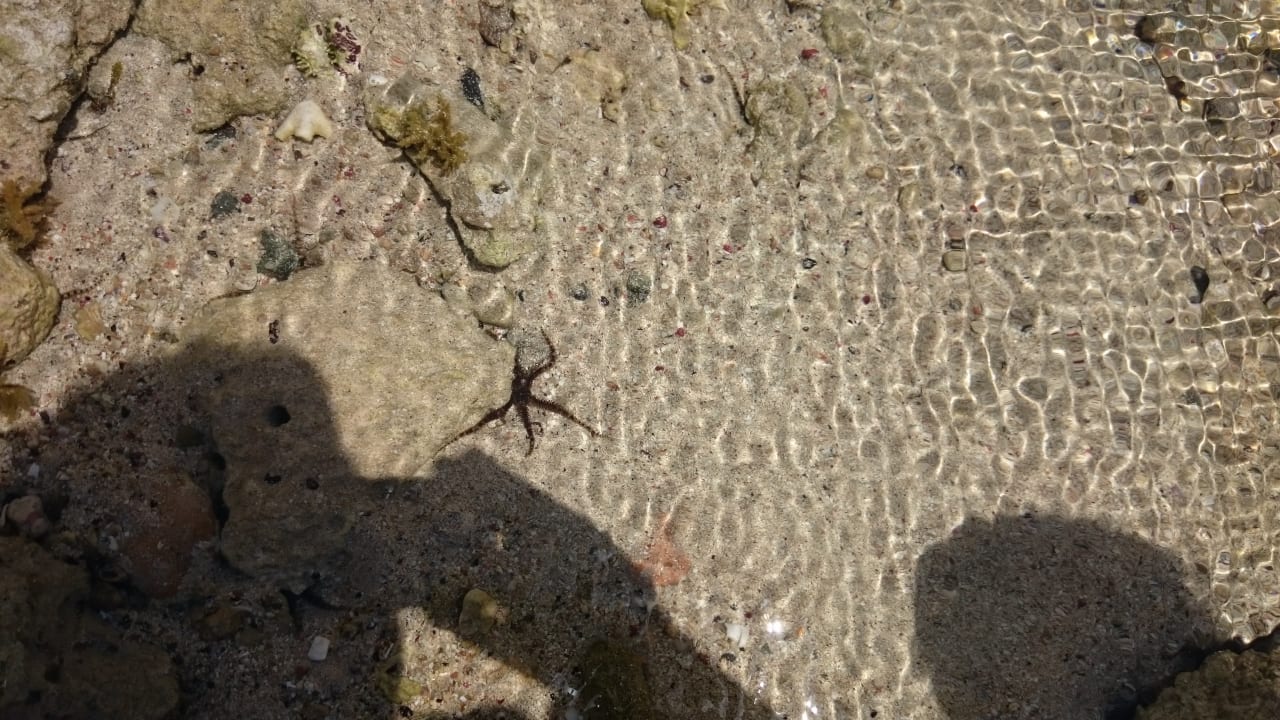 Strand Three Corners Sea Beach Resort