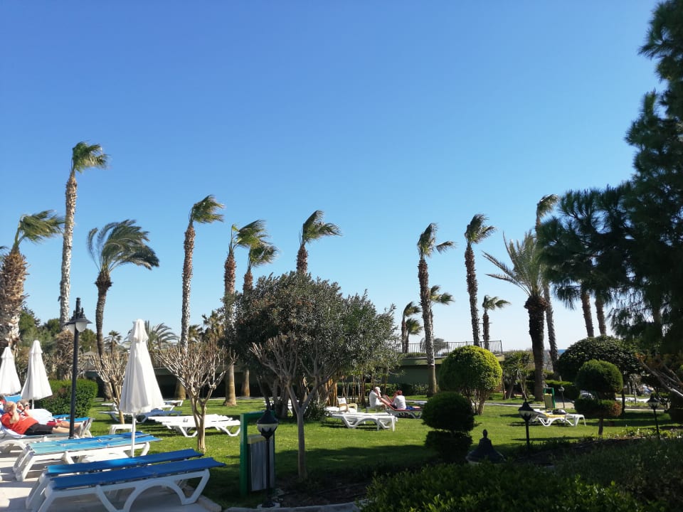 Gartenanlage Hotel Terrace Beach Resort