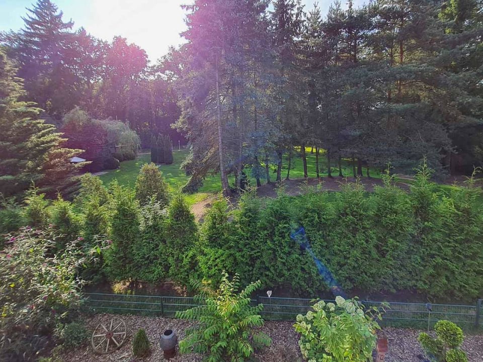 Ausblick Reiterhof Ferienhof Lünzen