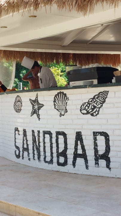 Sonstiges Desert Rose