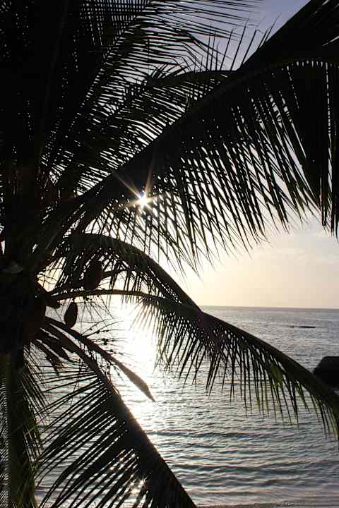 Einfach so Summer Island Maldives