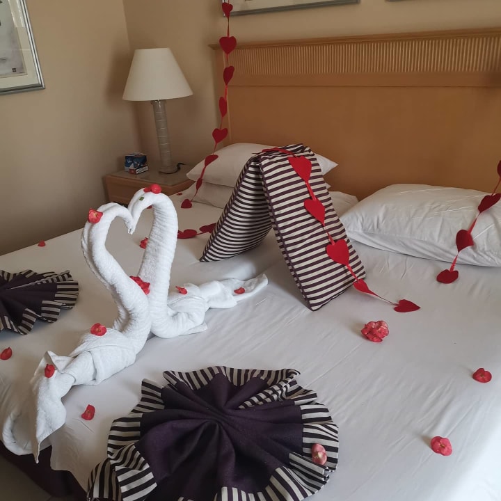Zimmer Hotel JAZ Makadi Star & Spa