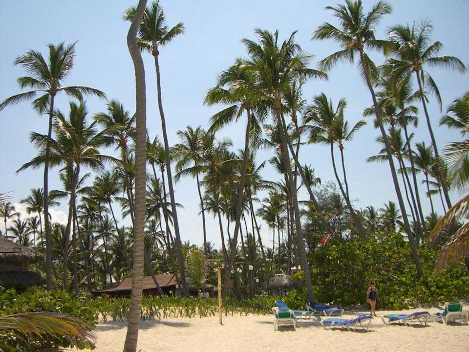 Strand Grand Palladium Select Bávaro Resort & Spa