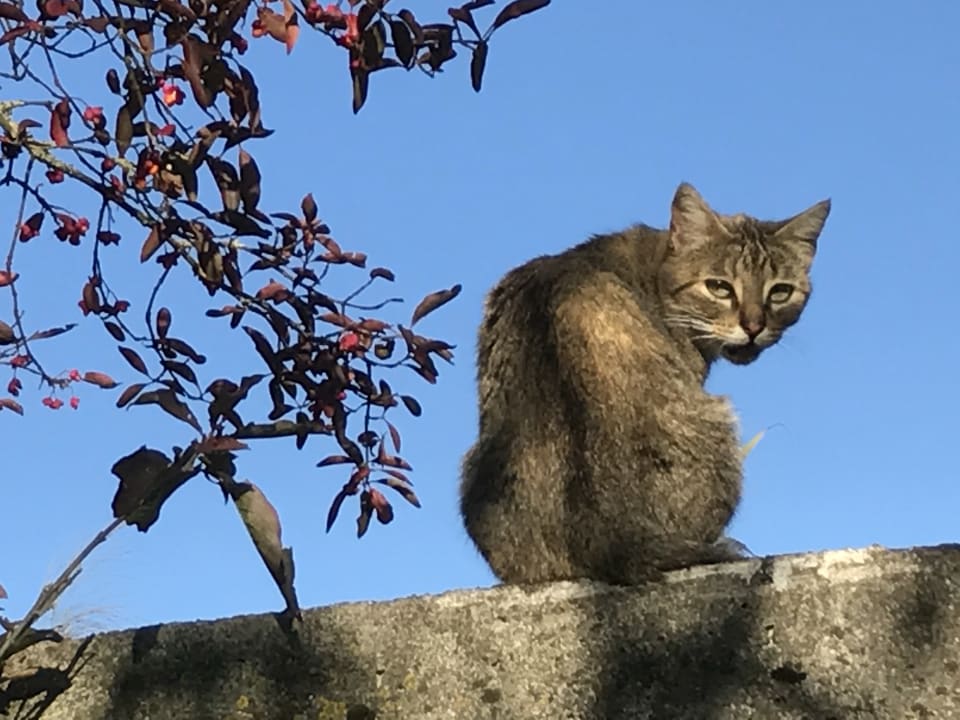 Sonstiges Bauernhof Rösch