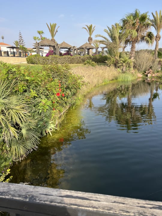 Gartenanlage ROBINSON AGADIR
