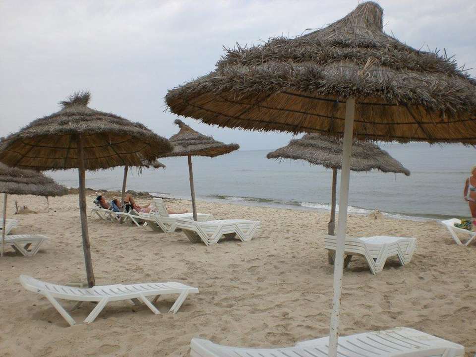 Strand mit Liegen und Schirmen Eden Club