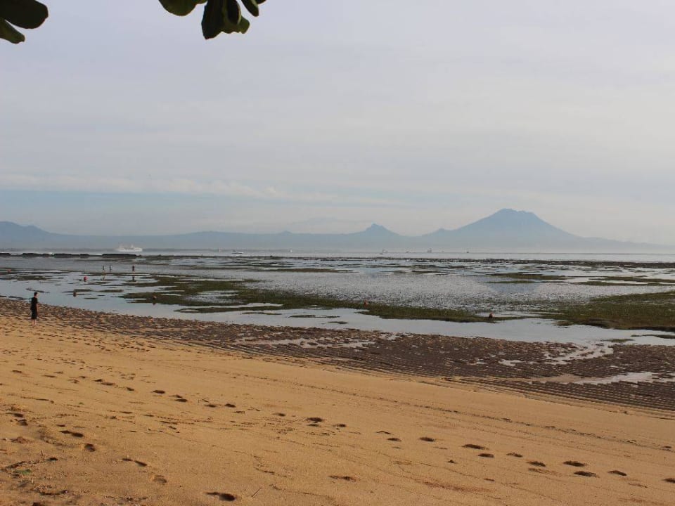 Ebbe The Laguna A Luxury Collection Resort & Spa