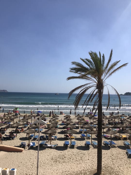 Strand Valentin Reina Paguera