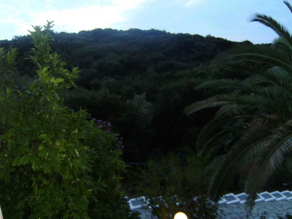 Widok z balkonu Aristoteles Holiday Resort & Spa