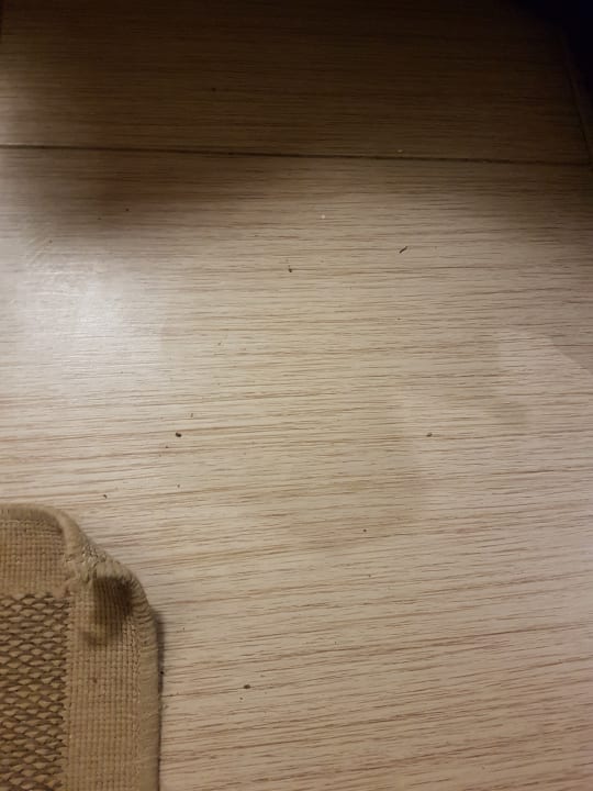 Zimmer Jaz Makadi Oasis Resort