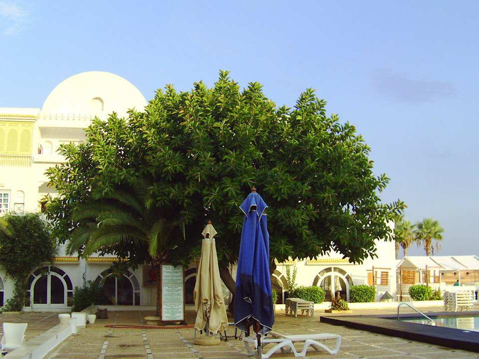 Am Pool Alassio Hotel and Thalasso