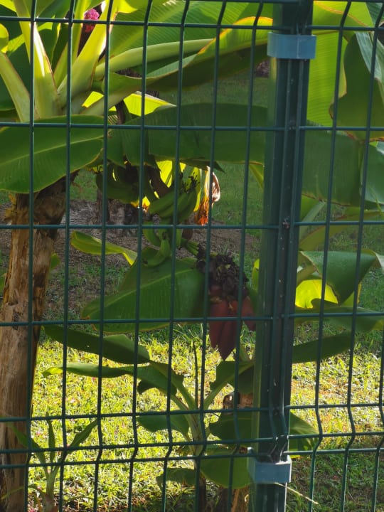 Gartenanlage VONRESORT Golden Beach