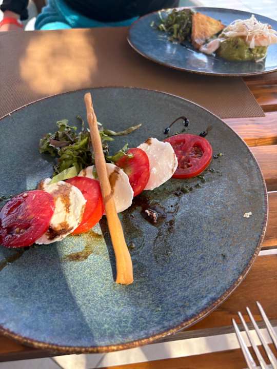 Gastro JAZ Elite Asteria