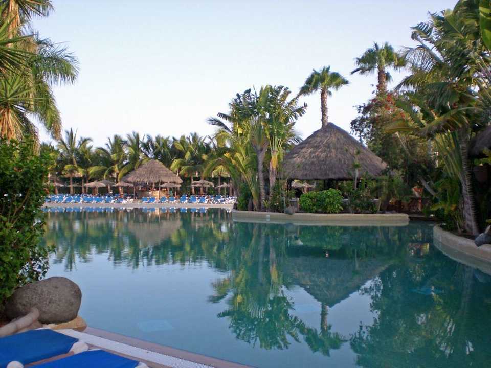 Pool 1 Tabaiba Princess