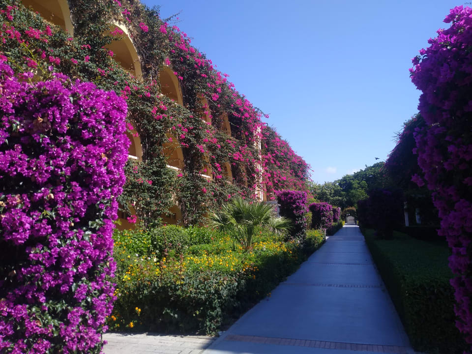 Außenansicht TUI MAGIC LIFE Calabria