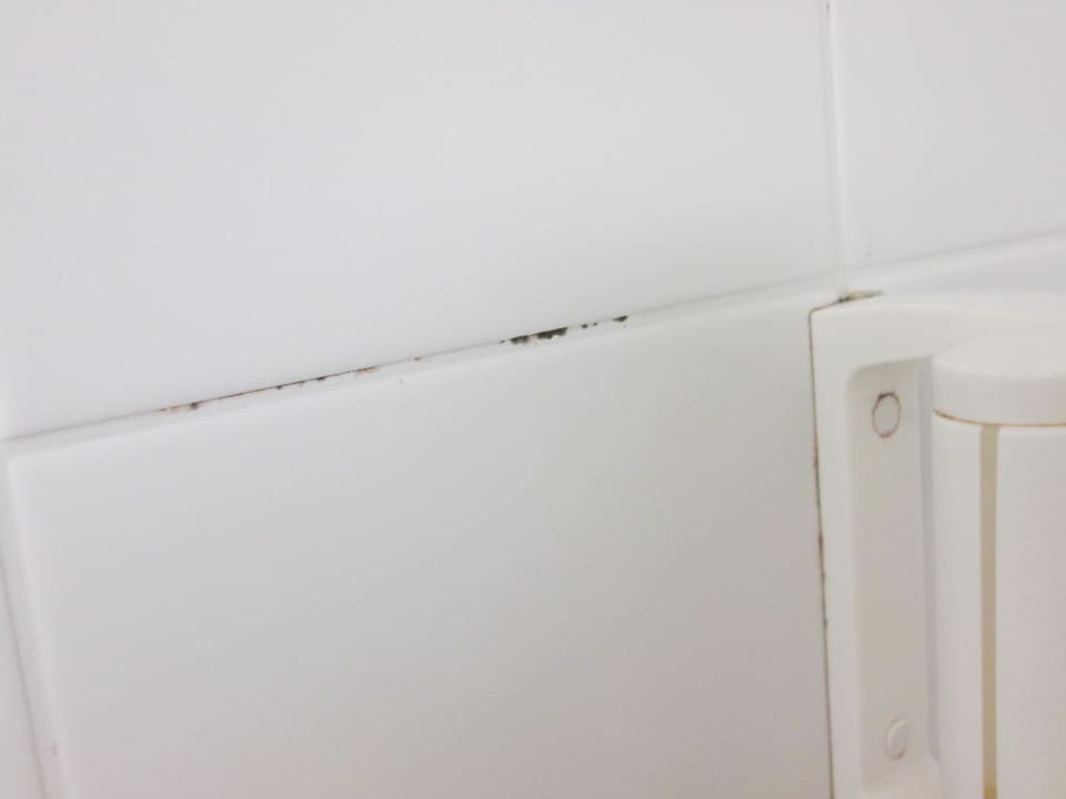 Dusche - Armaturen Sporthotel Kapfenberg