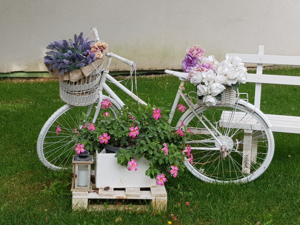 Gartenanlage Falkensteiner Hotel Park Punat