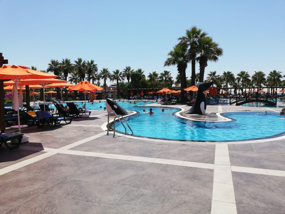 Pool Megasaray Club Belek