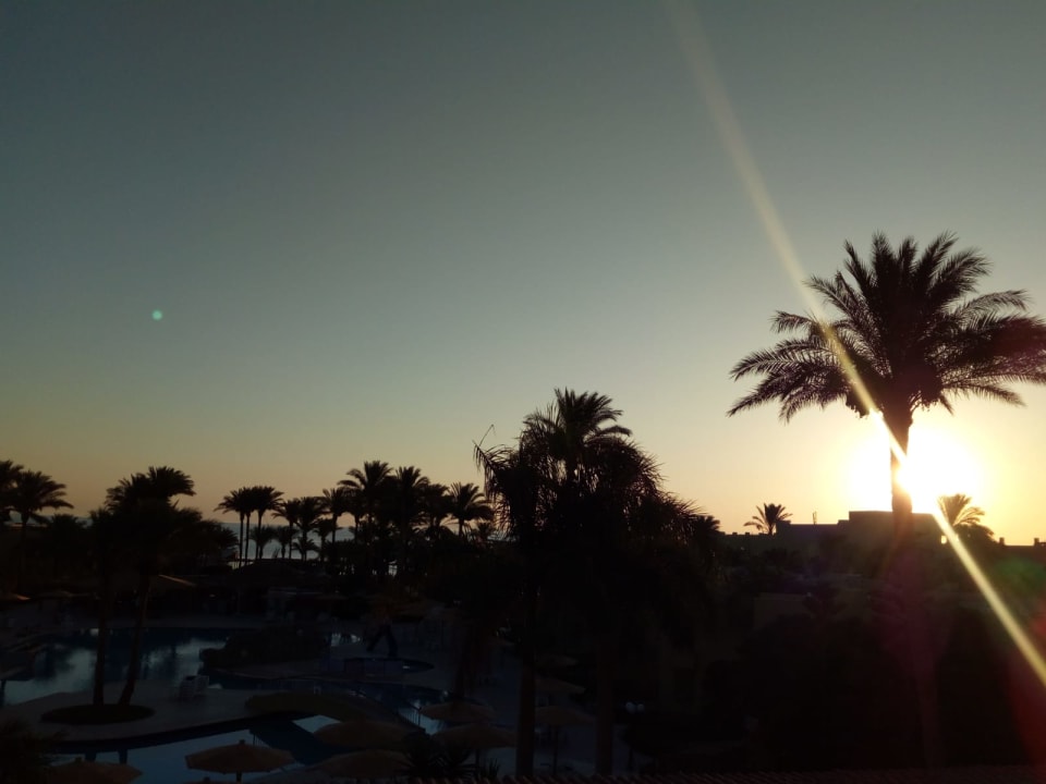 Ausblick Palm Beach Resort