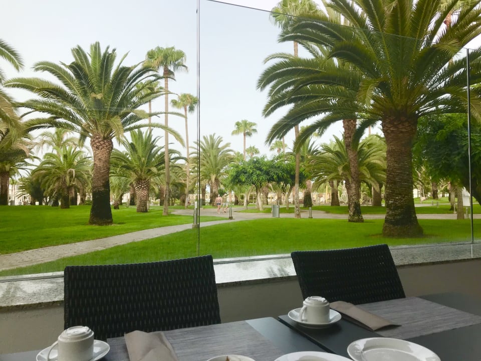Gartenanlage Hotel Riu Gran Canaria