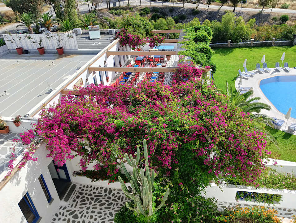 Ausblick Ekaterini Hotel