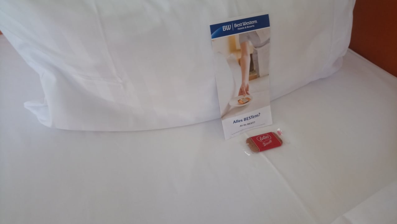 Zimmer Best Western Ambassador Hotel