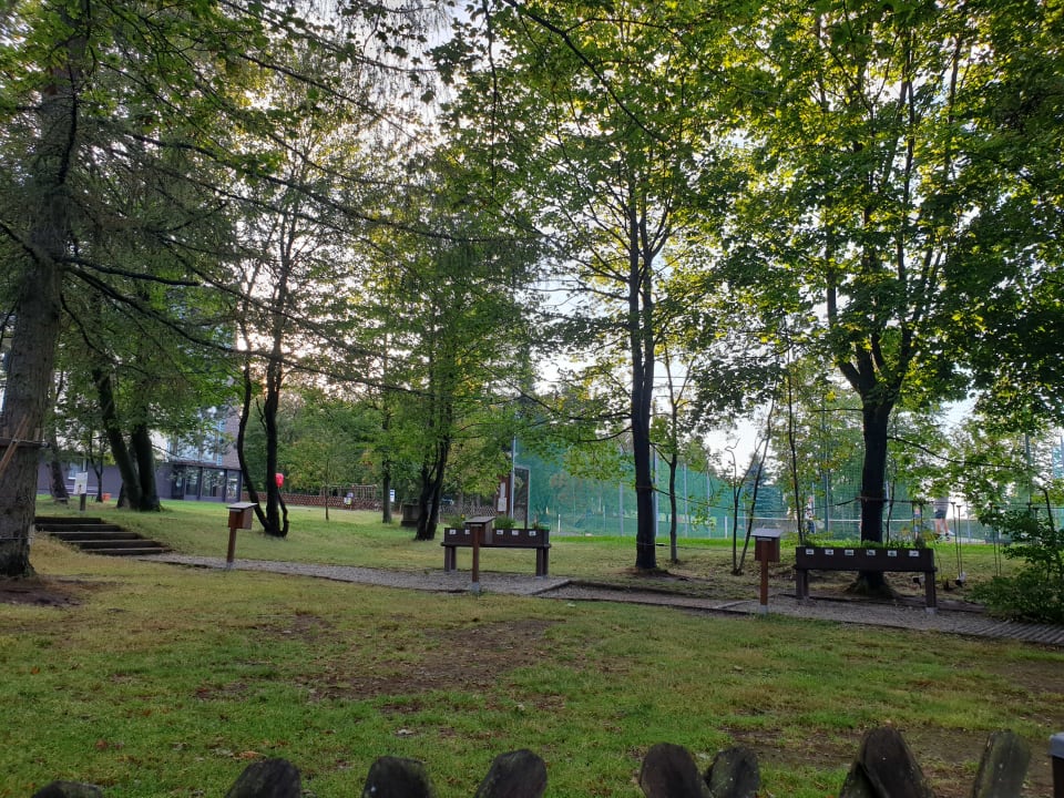Gartenanlage AHORN Waldhotel Altenberg