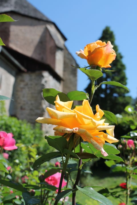 Gartenanlage Hotel Richard Löwenherz