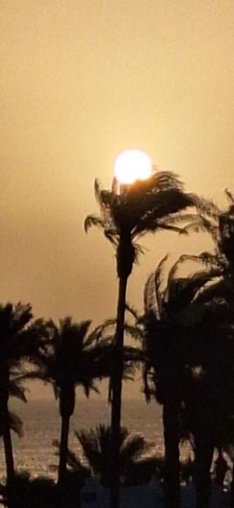 Sonstiges Shams Safaga Resort