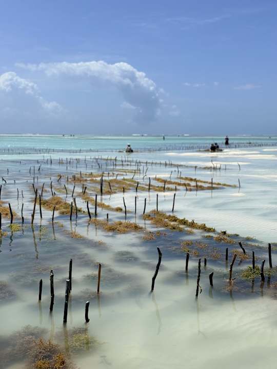 Strand Neptune Pwani Beach Resort & Spa