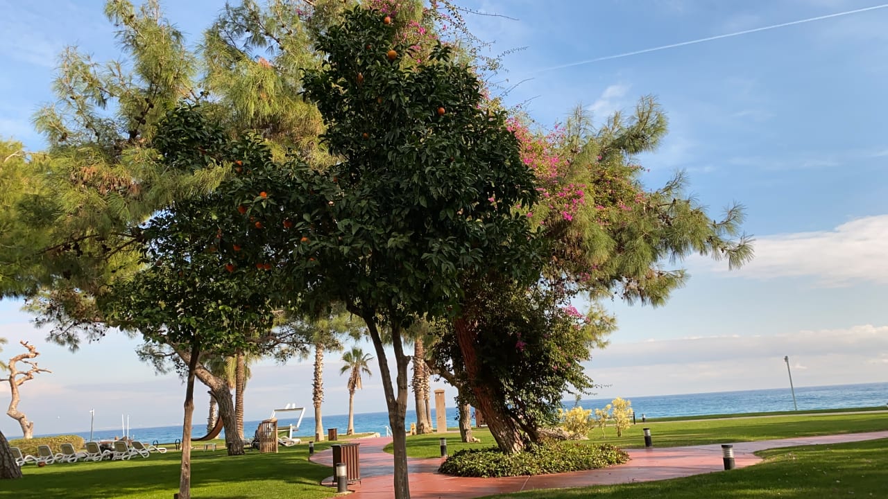 Gartenanlage TUI MAGIC LIFE Beldibi +16