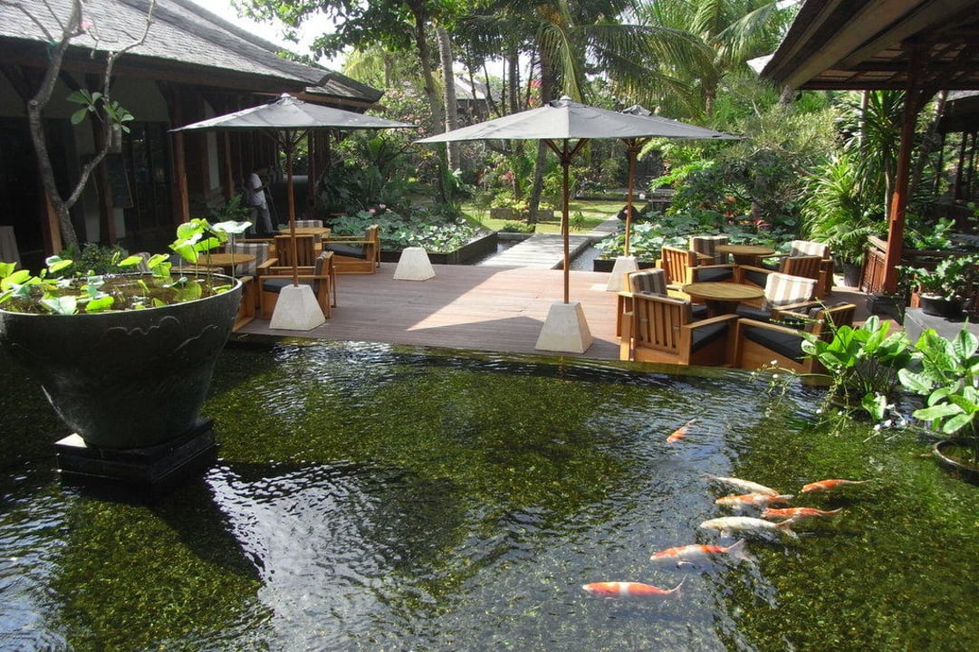 Einer von vielen Koi-Teichen im Padma Padma Resort Legian