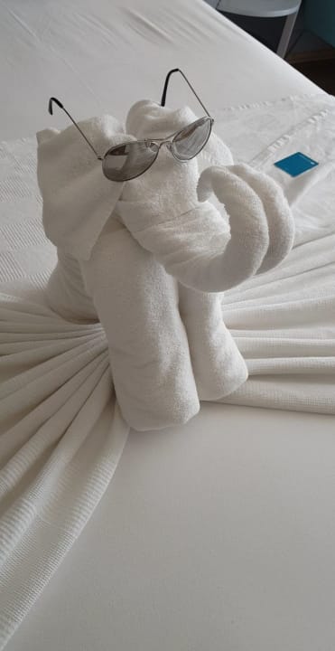 Zimmer Numa Bay Exclusive Hotel